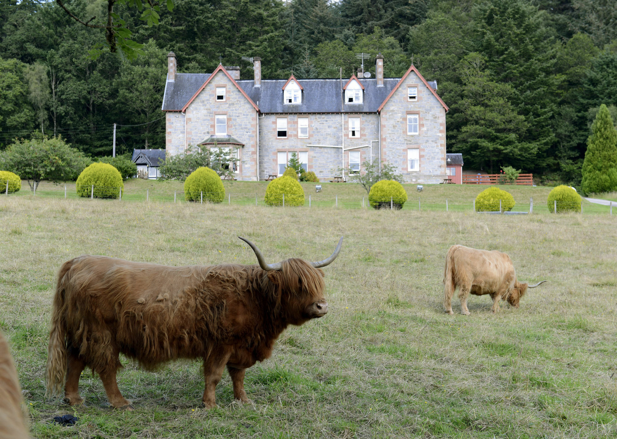 Inch Hotel Fort Augustus Exterior foto